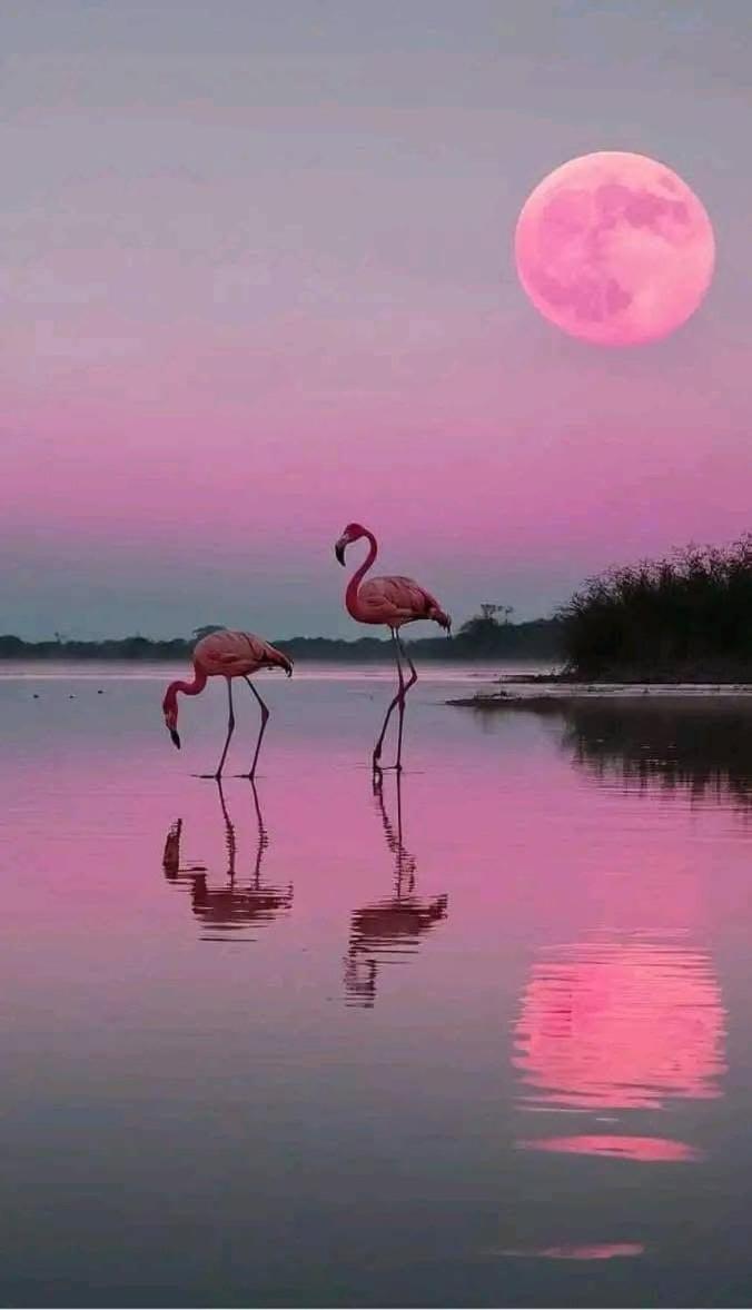 La Passiflore Vergèze Esterno foto